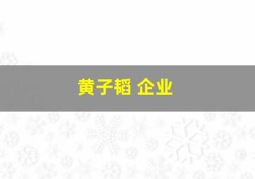 黄子韬 企业